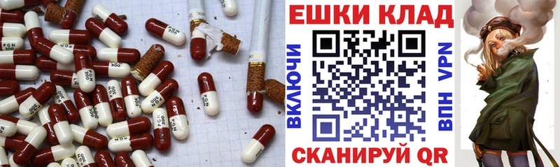 ссылка на мегу ссылка  Шлиссельбург  Экстази таблы  что такое  